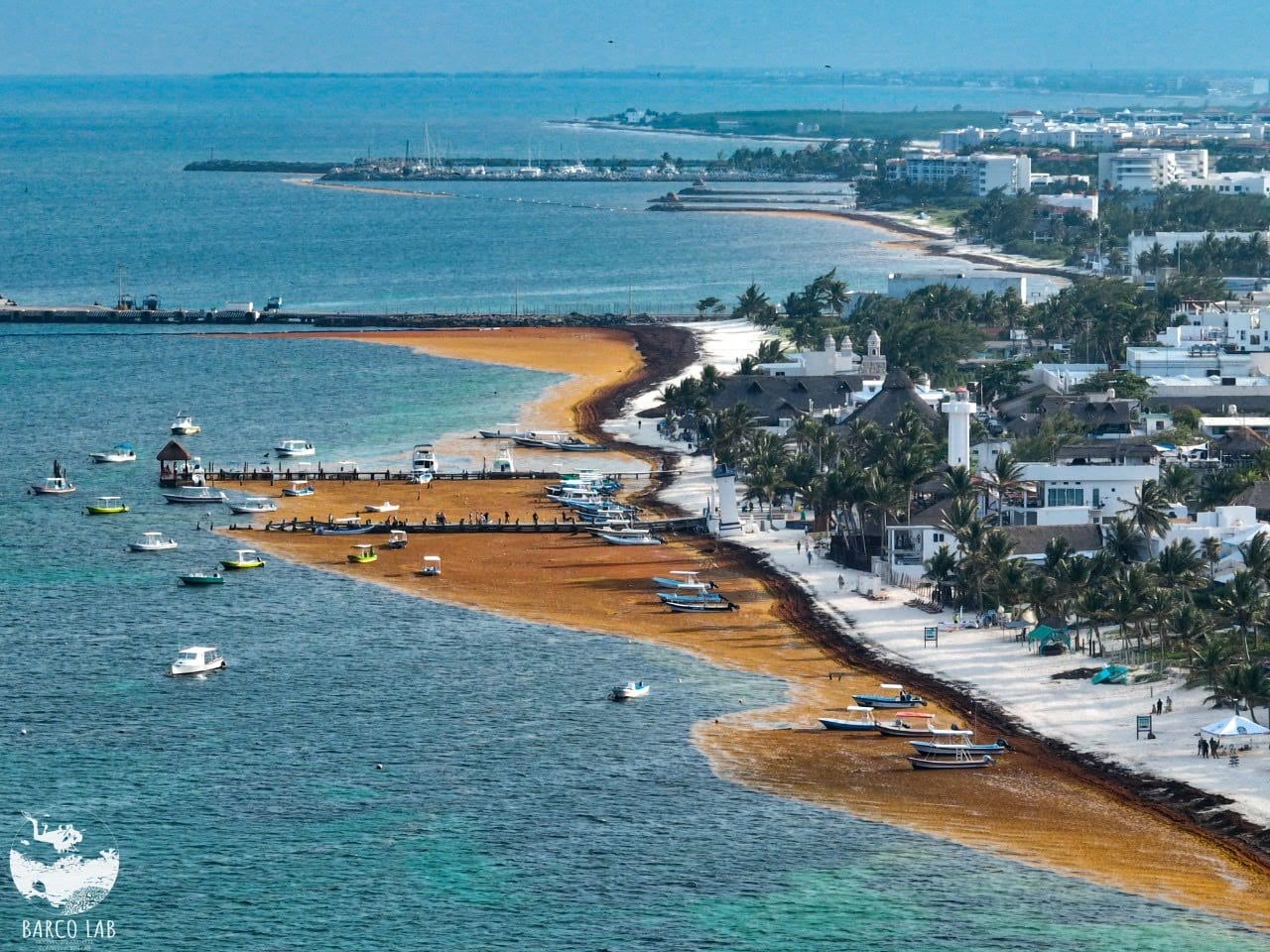 A brown wave of sargassum reaching the beach in the Mexican city of Puerto Morelos.