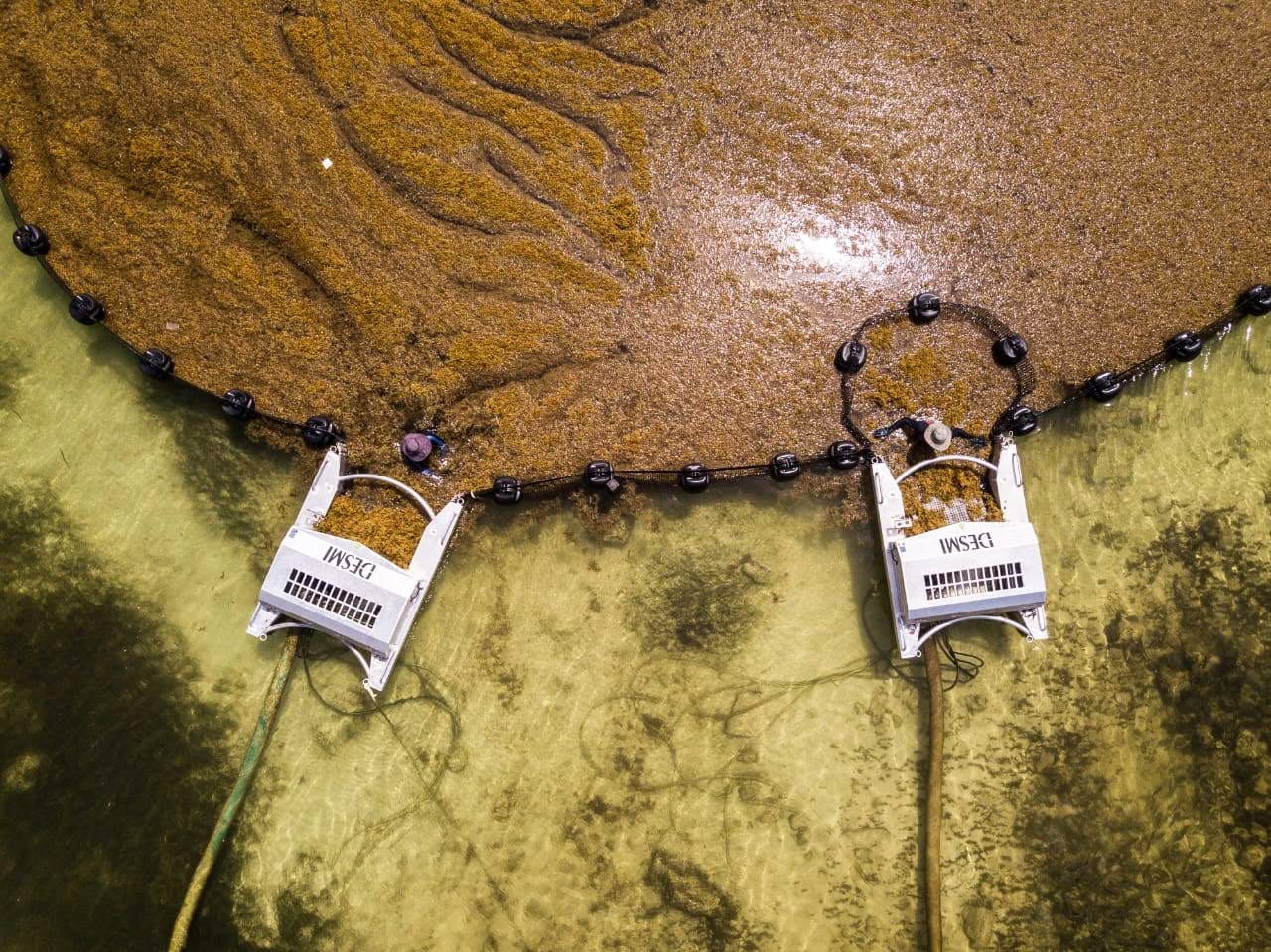 Offshore cleaning devices developed to deal with the onslaught of sargassum.