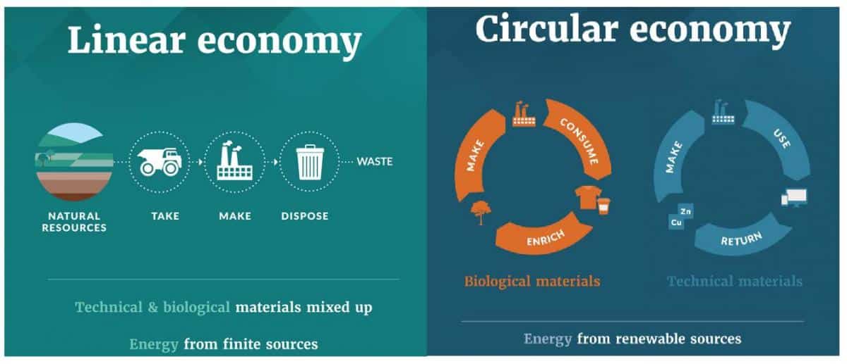 linear-circular-economy