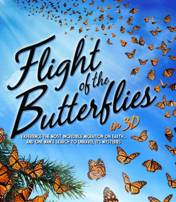 flight of the butterflies