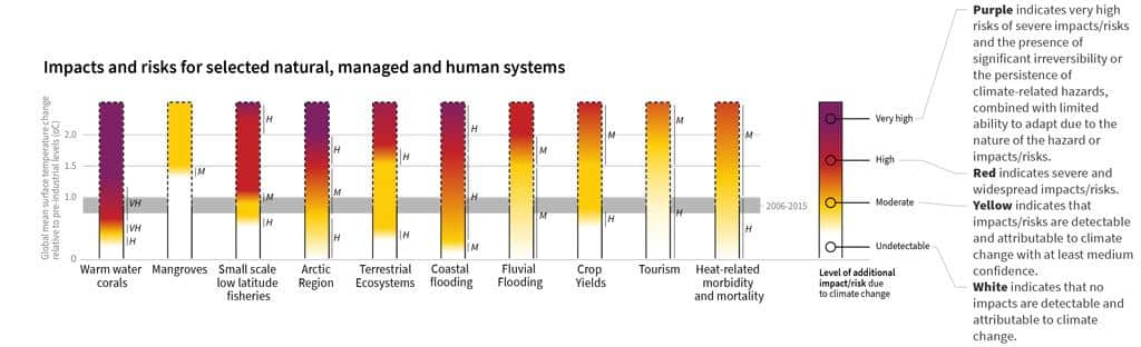 Impacts & Risks