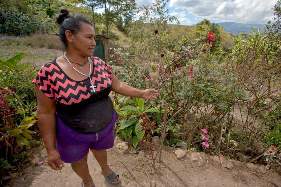 A woman shares the medicinal plants in her garden that she uses to treat illnesses in her community. Image: WNV/Jeff Abbott