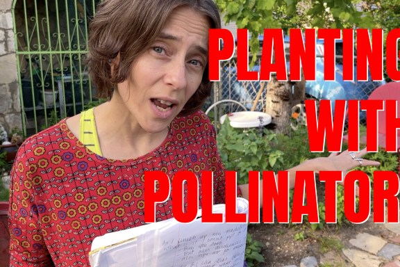 PLANTING WITH POLLINATORS