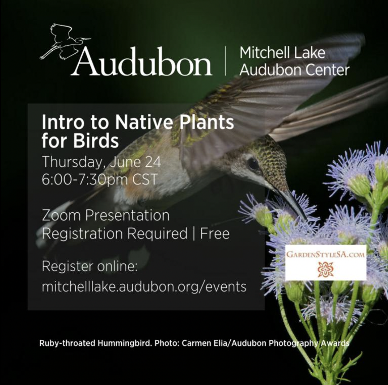 native plants for birds event