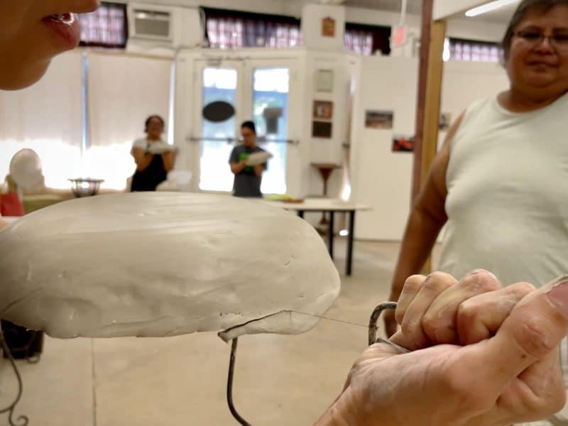 volver a tierra veronica castillo