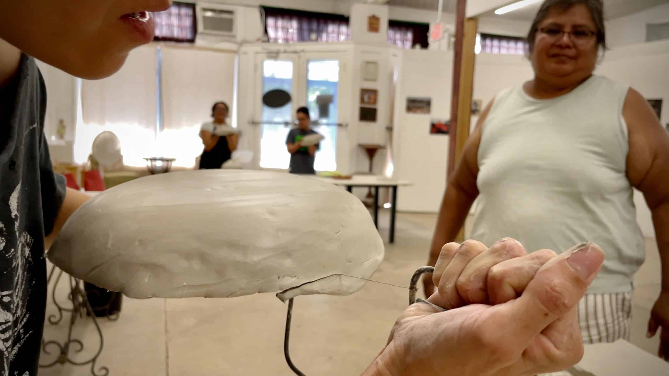 volver a tierra veronica castillo