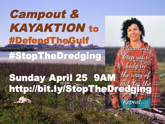 defend the gulf w diane wilson