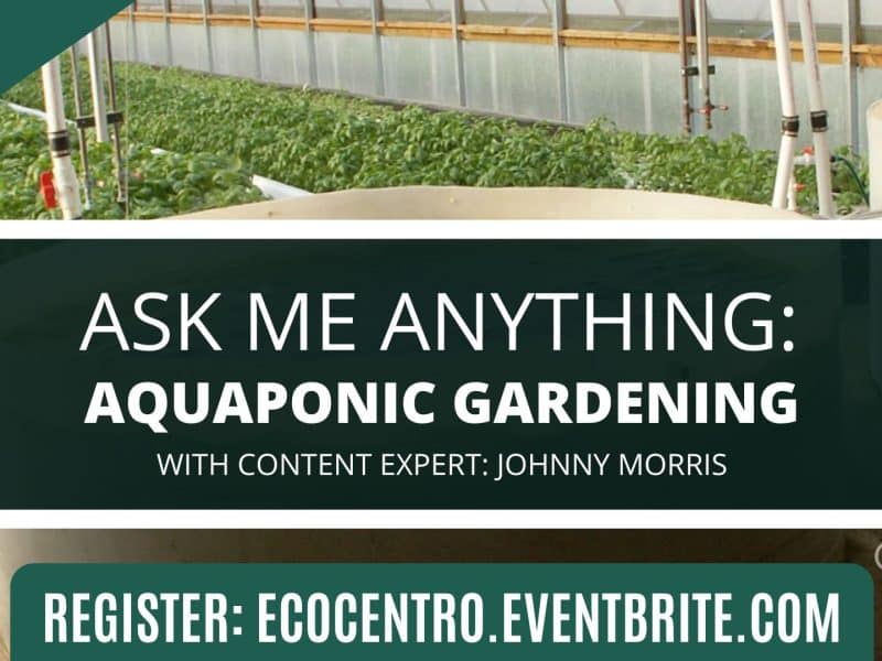 Aquaponic Gardening