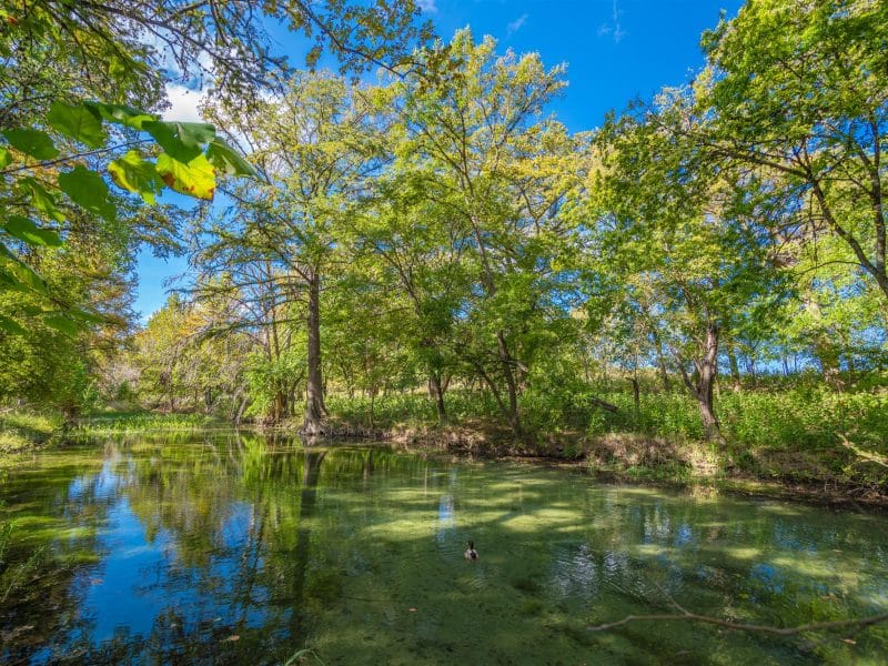 aguas residuales de texas: río sabinal