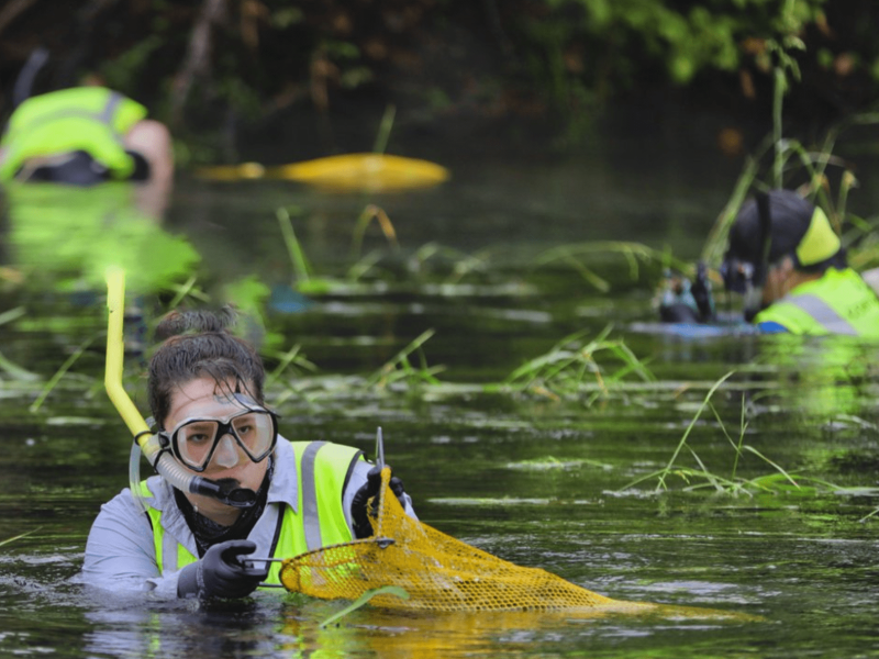 How You Can Contribute to Critical Environmental Research Right Now