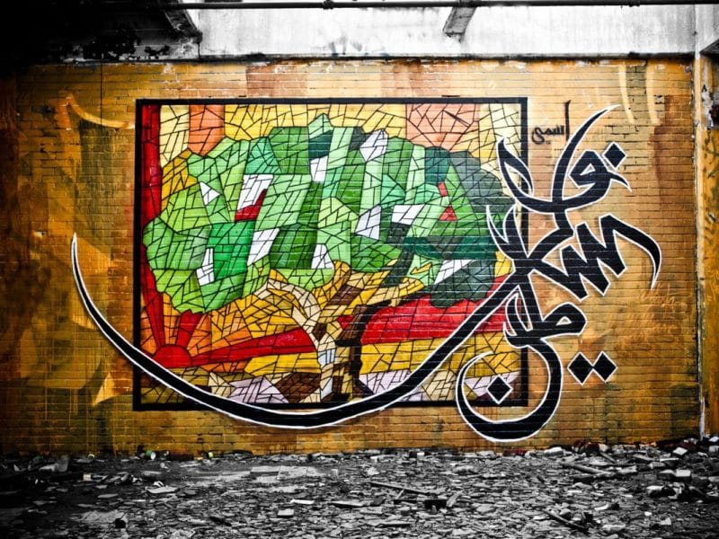 colonización del medio ambiente palestino