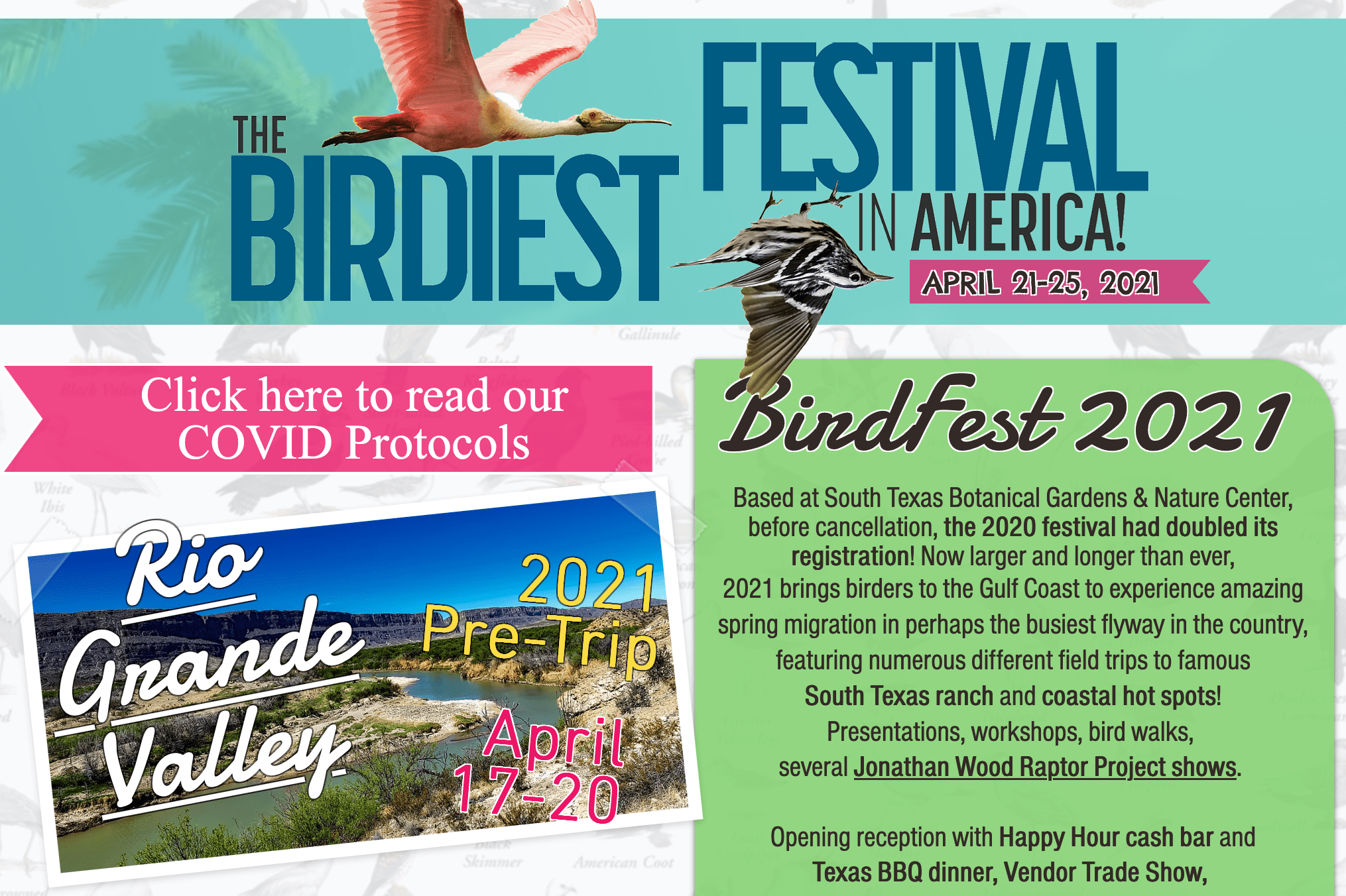 bird fest