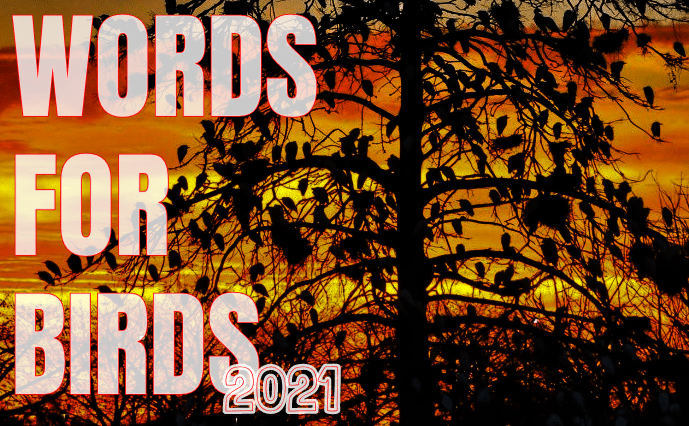WORDS FOR BIRDS 2021