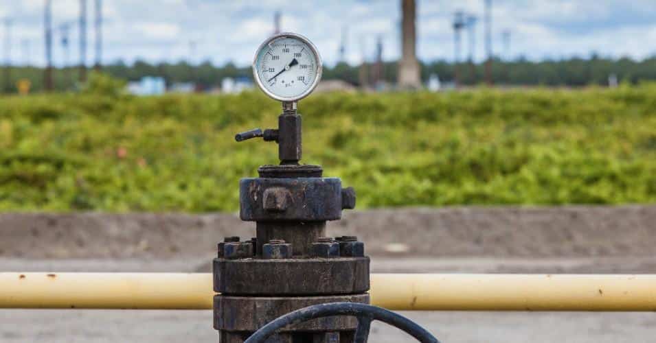 rights of nature and penn