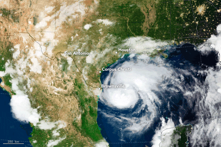 hurricane harvey gif